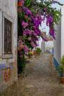 The medieval castle of Obidos, Portugal Art Print